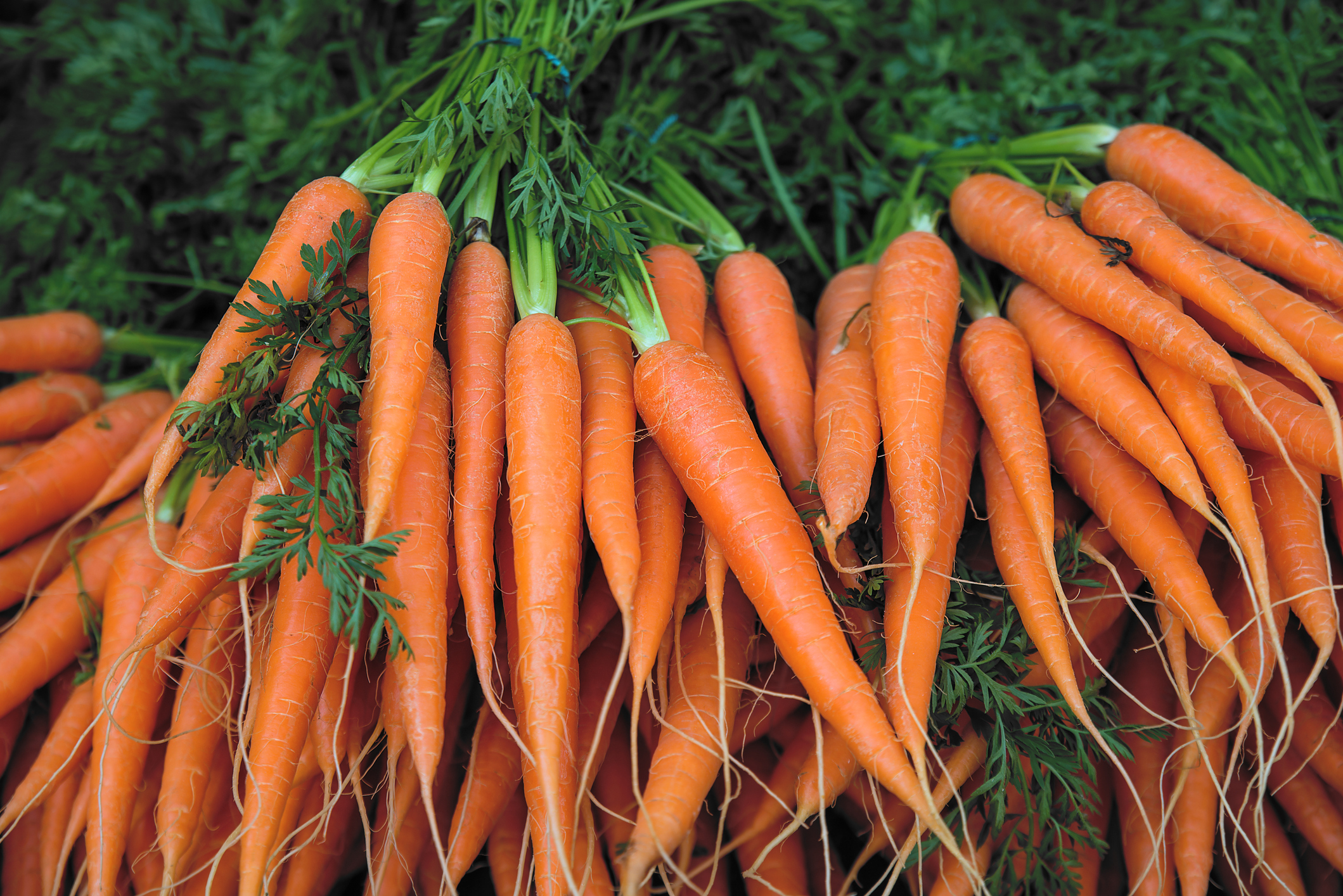 The-Benefits-of-Eat-Carrots-for-Mens-Health-Care