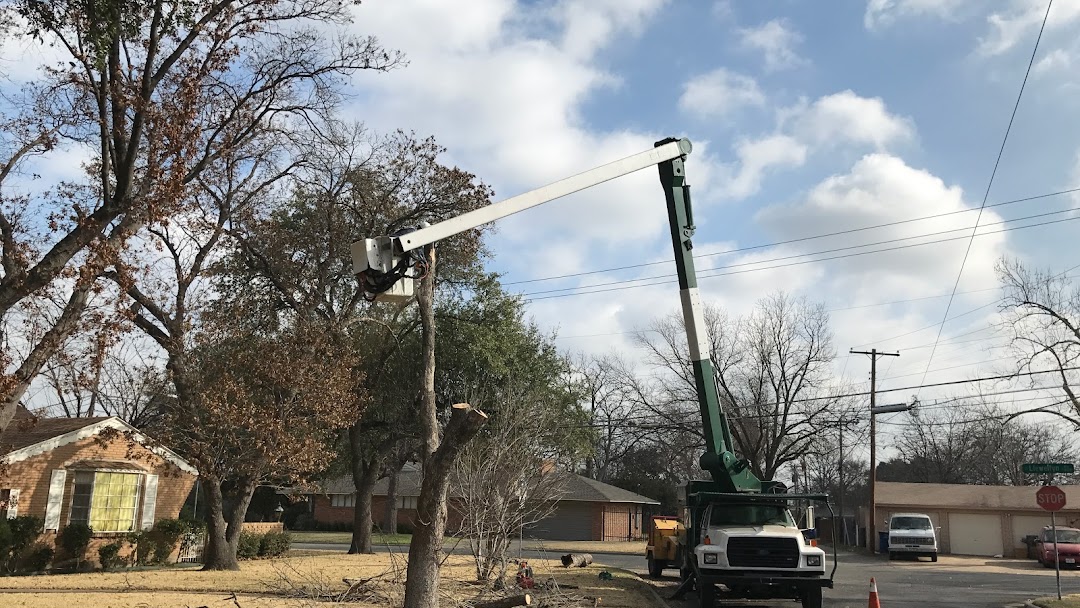 tree trimming services San Antonio TX